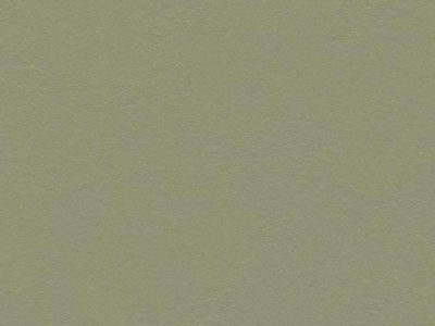Натуральный линолеум 3355 rosemary green (Forbo Marmoleum Walton), м²