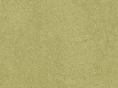 Натуральный линолеум 3265 avocado (Forbo Marmoleum Fresco), м²