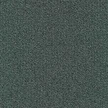 Ковровая плитка Millennium Nxtgen 579 (Modulyss (Domo))